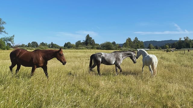 Processed with VSCO with m3 preset