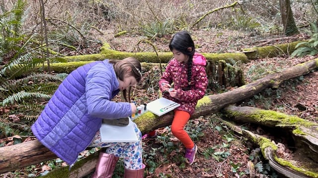 store_01JN2TK0097830MMJKPYYFX9JH_assets_1740956671063-img_8843